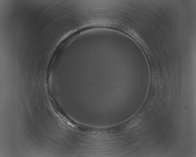 X0000083980434200702232048