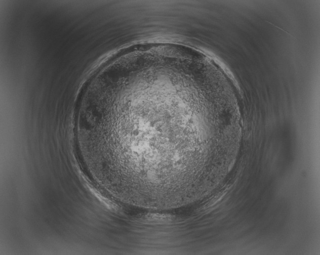 X0000083980437200702232049