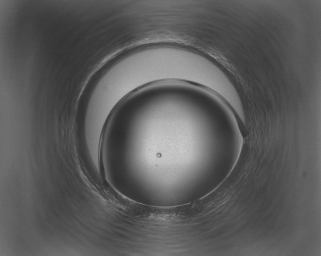 X0000083980440200702232049