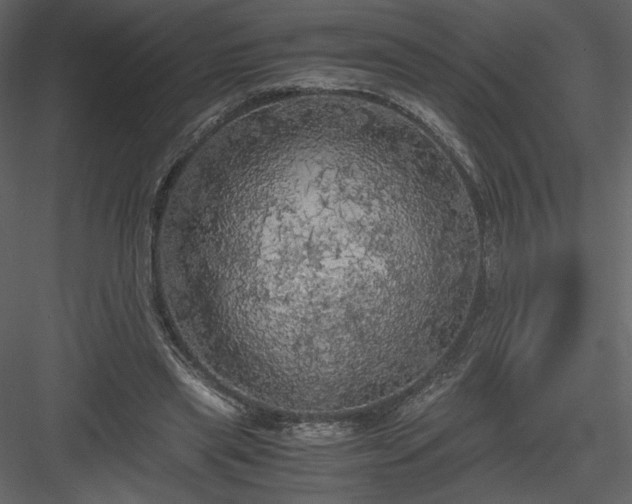 X0000083980445200702232049