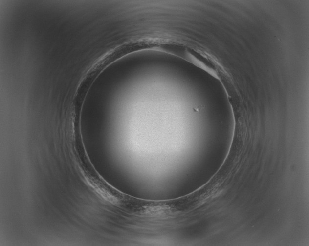 X0000083980446200702232049