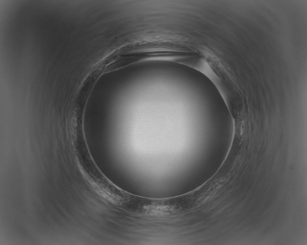 X0000083980448200702232049