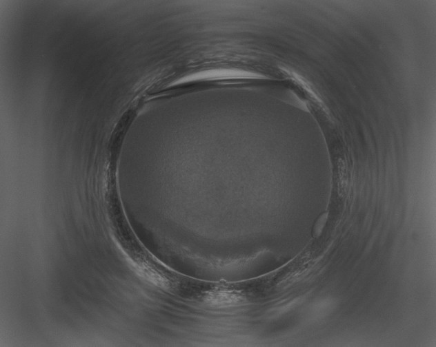 X0000083980451200702232049