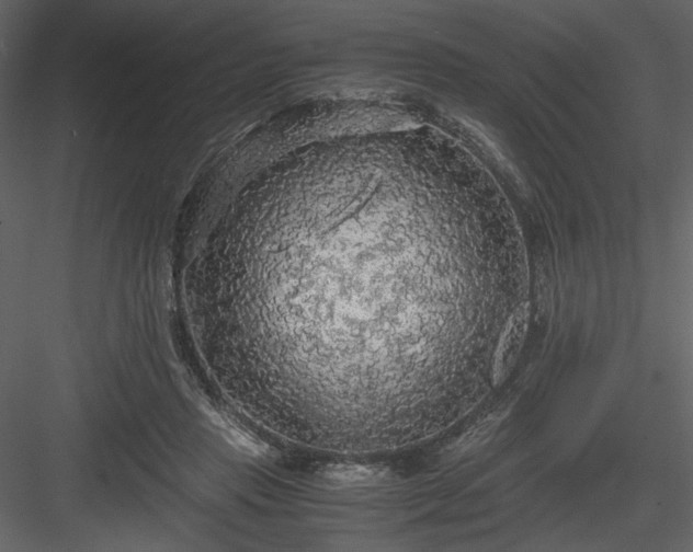 X0000083980453200702232049