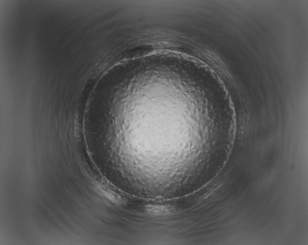 X0000083980457200702232049