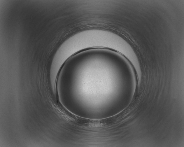 X0000083980458200702232049