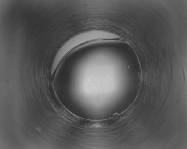 X0000083980460200702232049