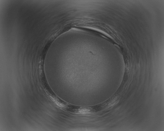 X0000083980462200702232049