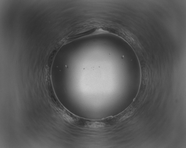 X0000083980463200702232049