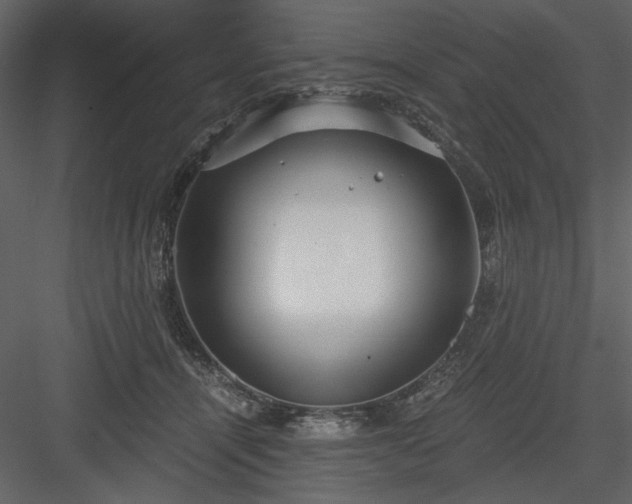 X0000083980464200702232049