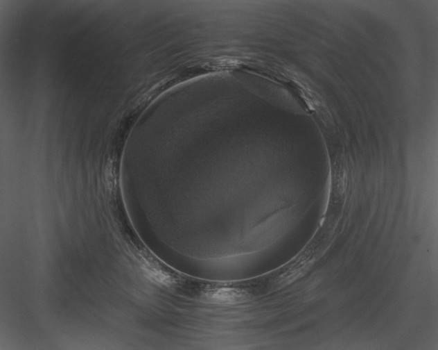 X0000083980467200702232049