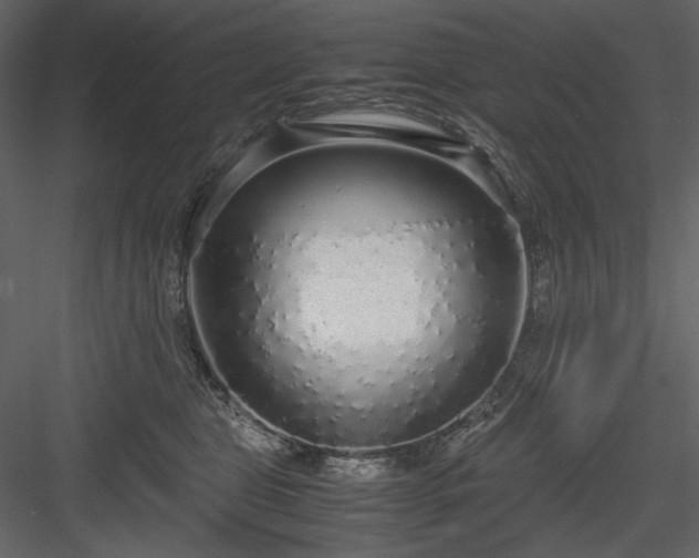 X0000083980469200702232049