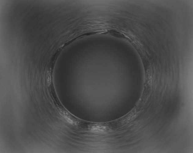 X0000083980471200702232049