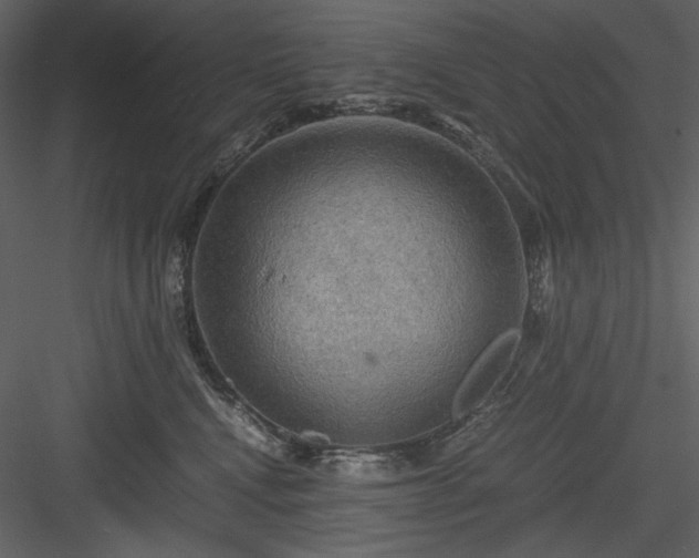 X0000083980472200702232049