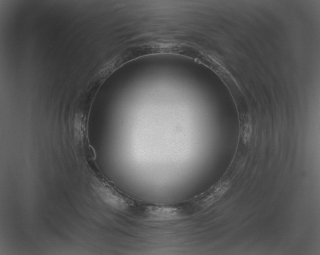 X0000083980476200702232049