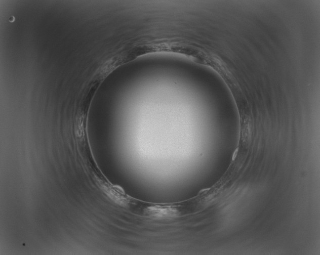 X0000083980477200702232049