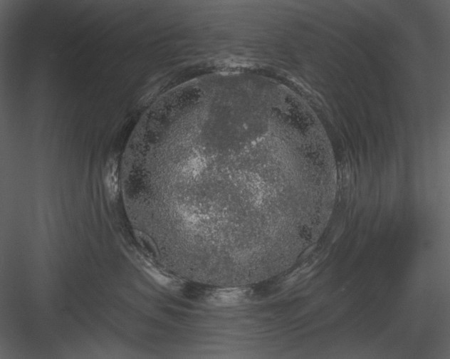 X0000083980479200702232049