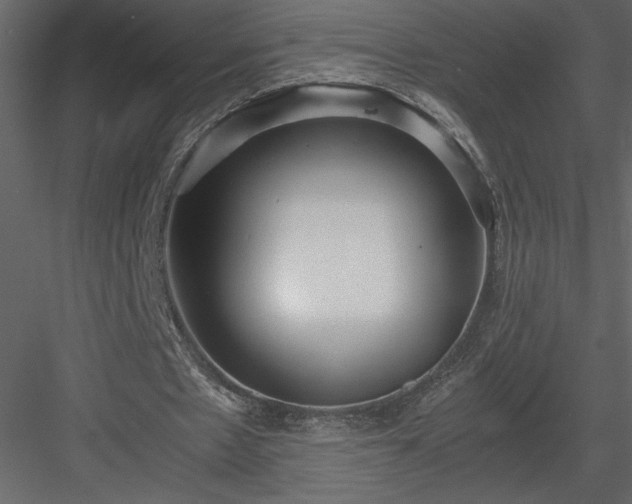 X0000083980481200702232048