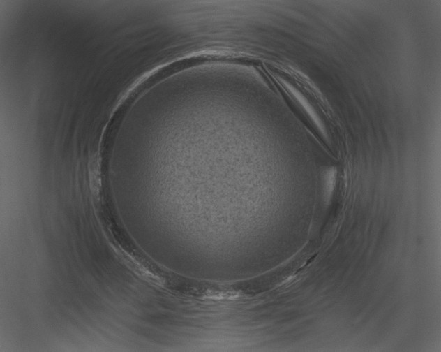 X0000083980484200702232048