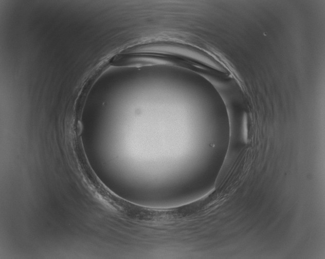 X0000083980485200702232048