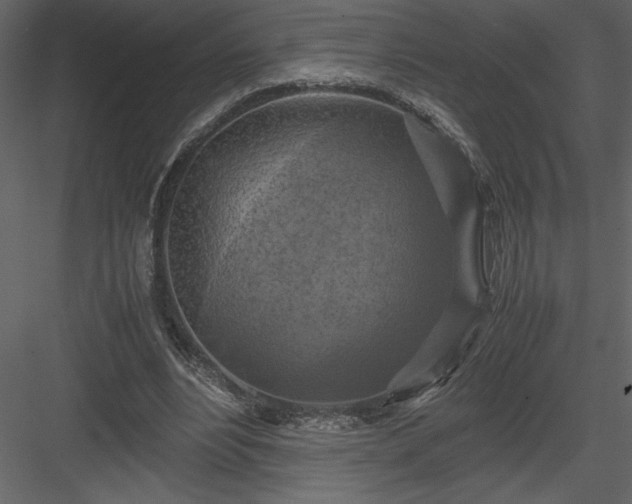 X0000083980488200702232048
