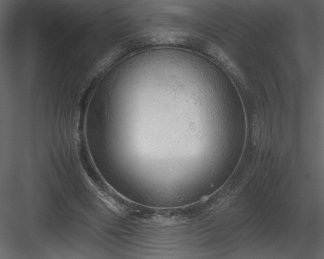 X0000083980490200702232048