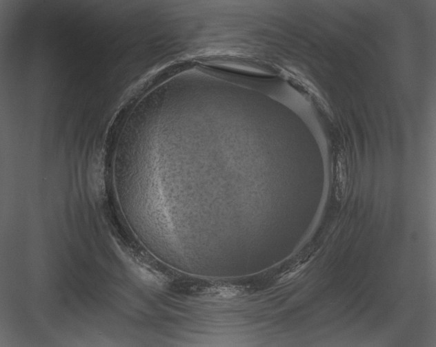 X0000083980492200702232048