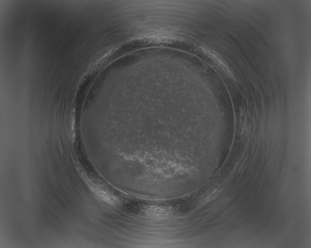 X0000083980494200702232048