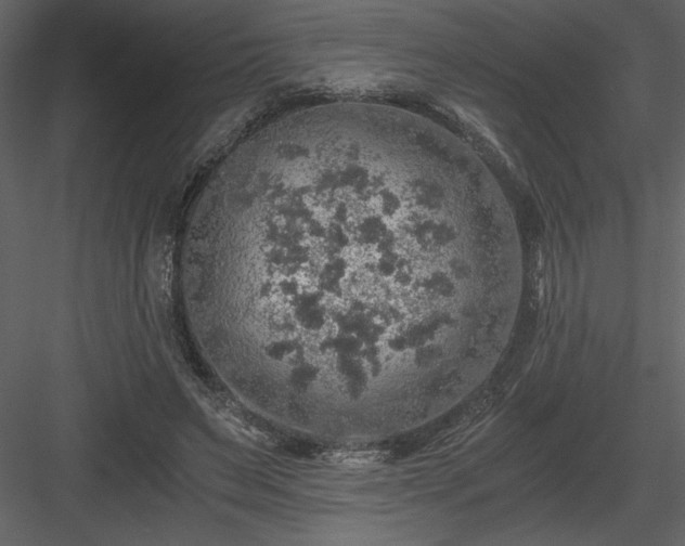 X0000083980495200702232048