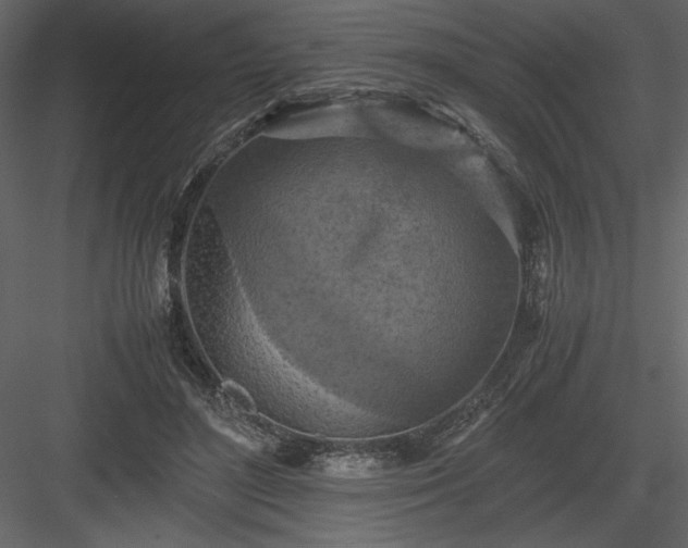 X0000083980500200702232048