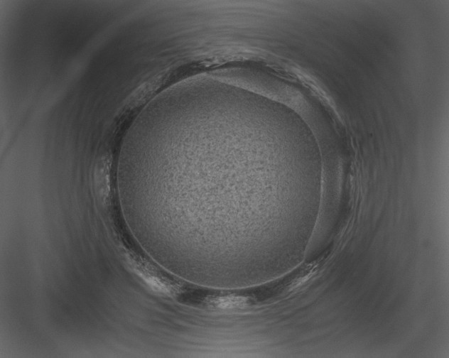 X0000083980501200702232048