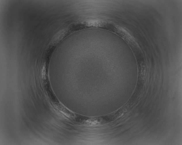 X0000083980502200702232048