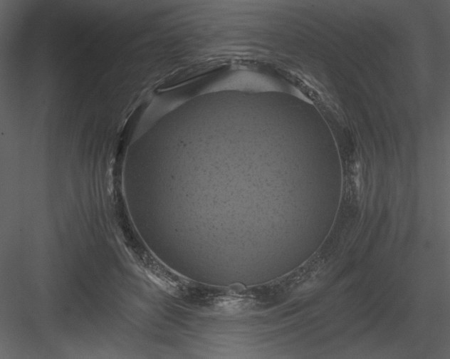 X0000083980504200702232048
