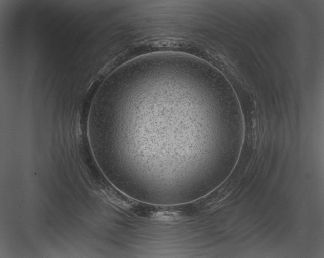 X0000083980508200702232048
