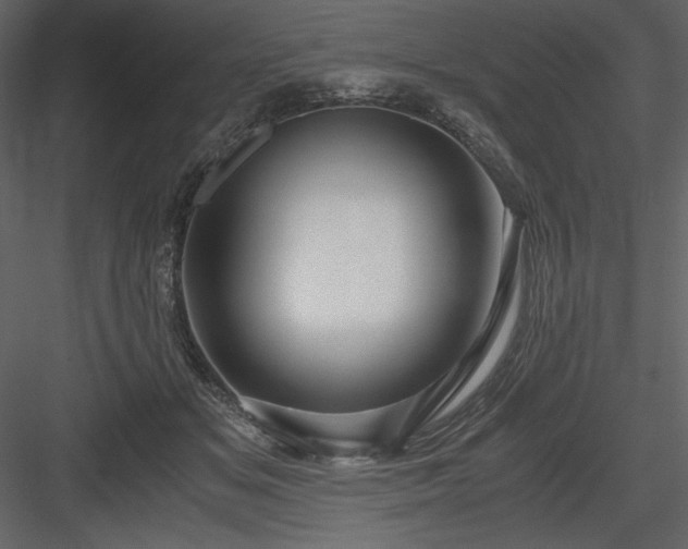 X0000083980509200702232048