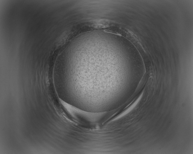 X0000083980512200702232048