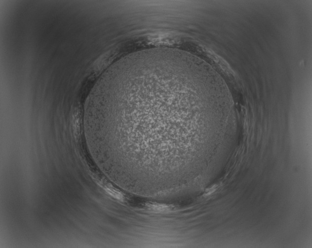 X0000083980513200702232048