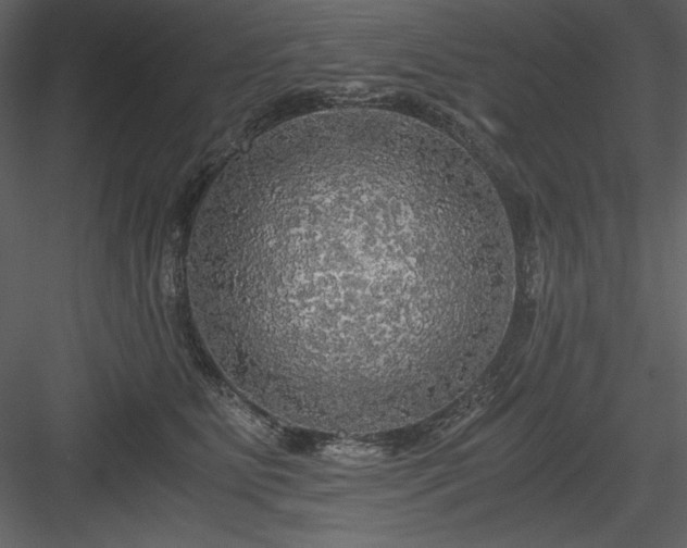X0000083980515200702232048