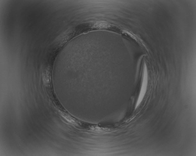 X0000083980517200702232048