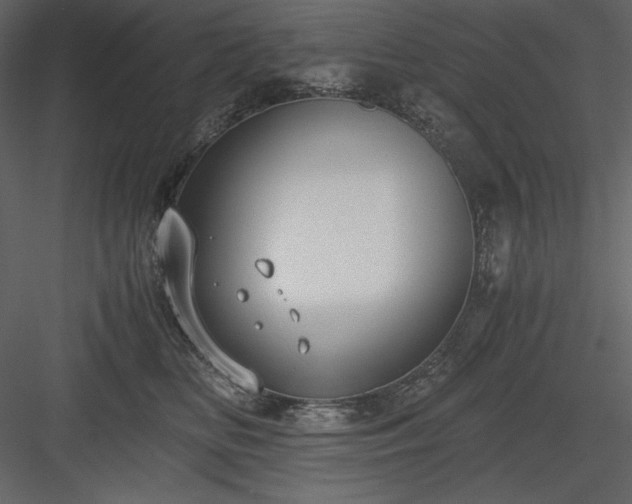 X0000083980518200702232048