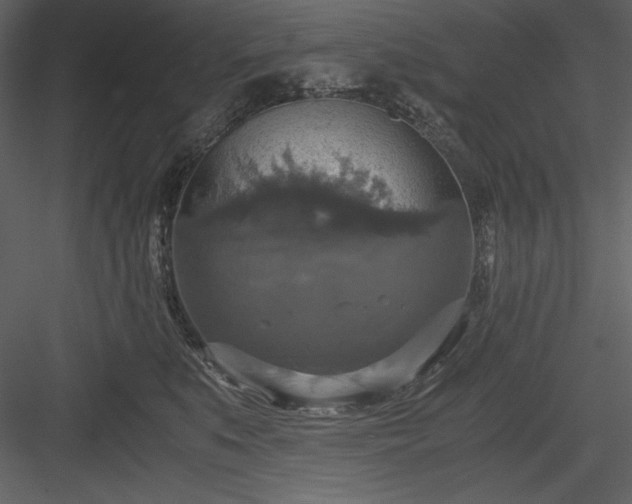X0000083980519200702232048