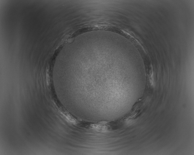 X0000083980520200702232048