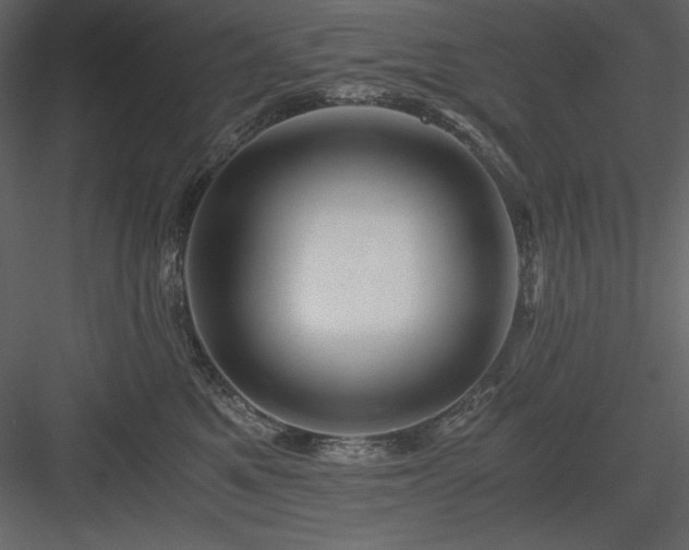 X0000083980521200702232048