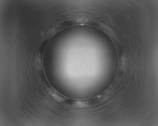 X0000083980522200702232048