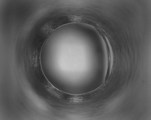 X0000083980525200702232048