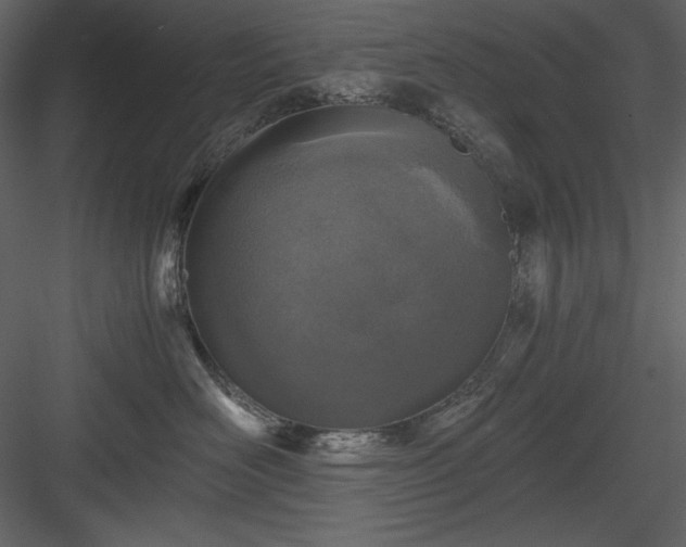 X0000083980526200702232048