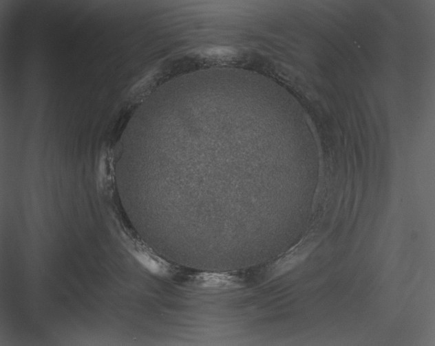 X0000083980528200702232048