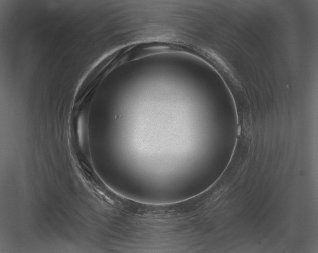 X0000083980532200702232047