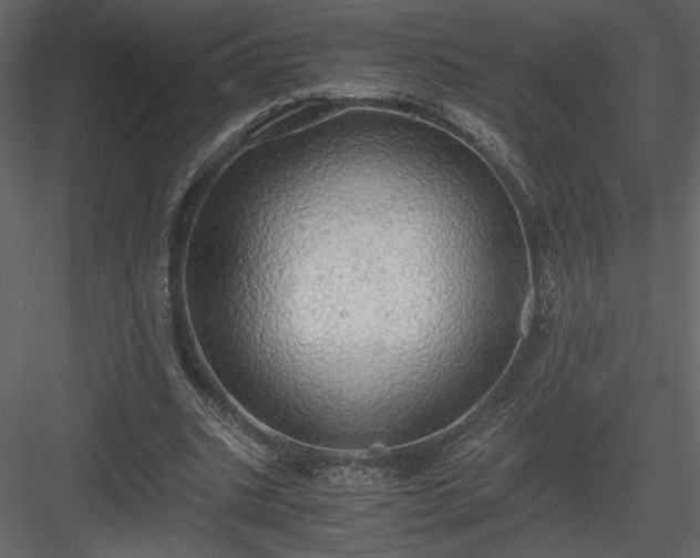 X0000083980535200702232047