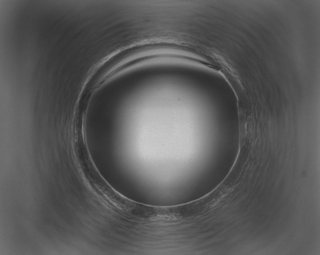 X0000083980536200702232047